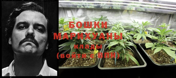 ALPHA PVP Медвежьегорск