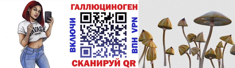 Псилоцибиновые грибы ЛСД  Купить закладки  Ахтырский 